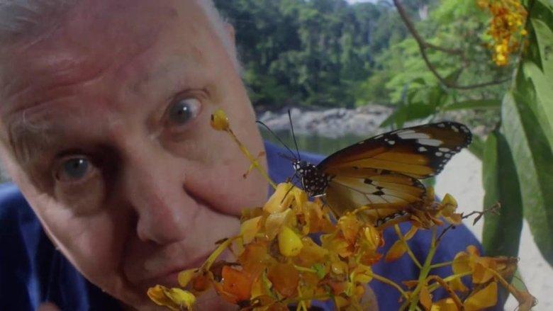 David Attenborough's Conquest of the Skies image