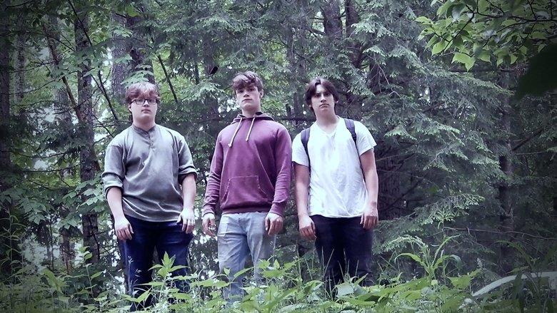 Lost In The Woods image