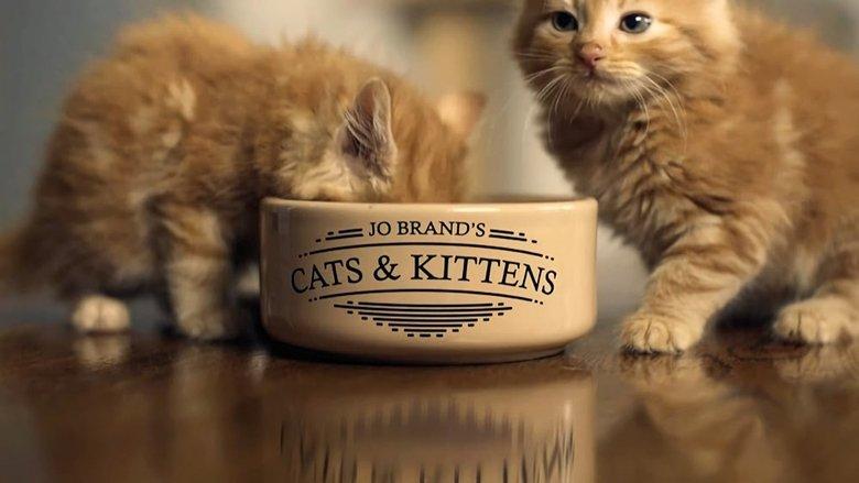 Jo Brand's Cats & Kittens image
