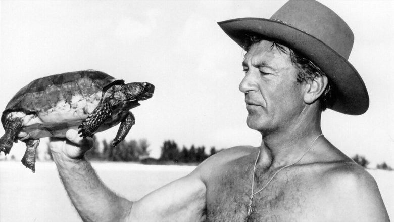 Irrésistible Gary Cooper image