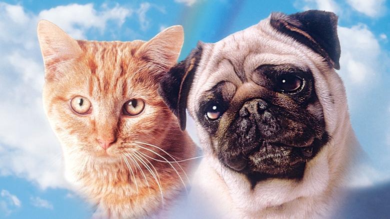 The Adventures of Milo and Otis image
