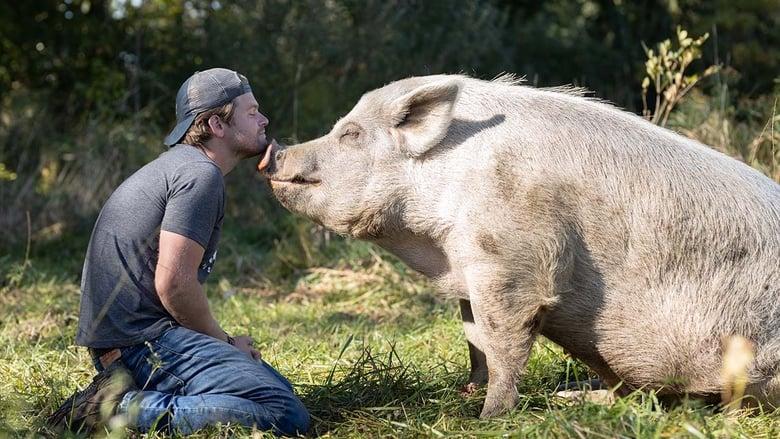 Saved By The Barn image