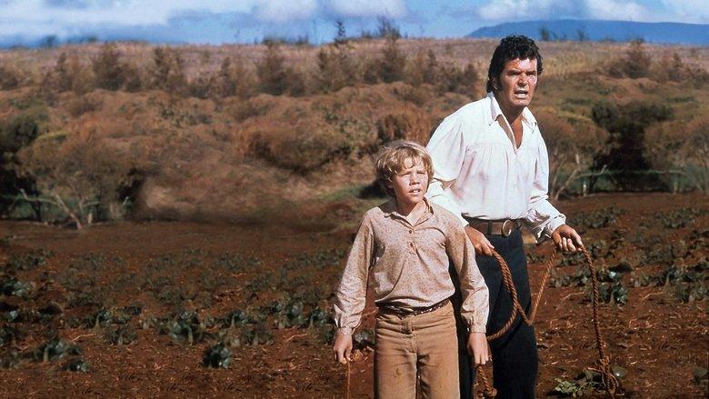 The Castaway Cowboy image