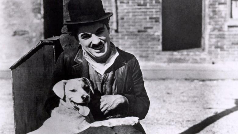 A Dog's Life image