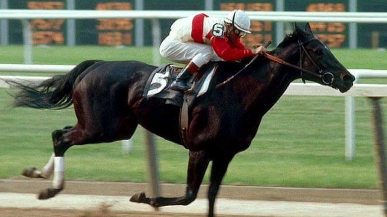 Ruffian image