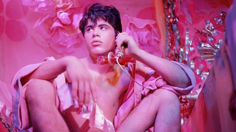 Pink Narcissus image