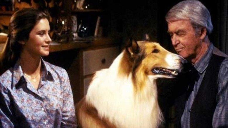 The Magic of Lassie image