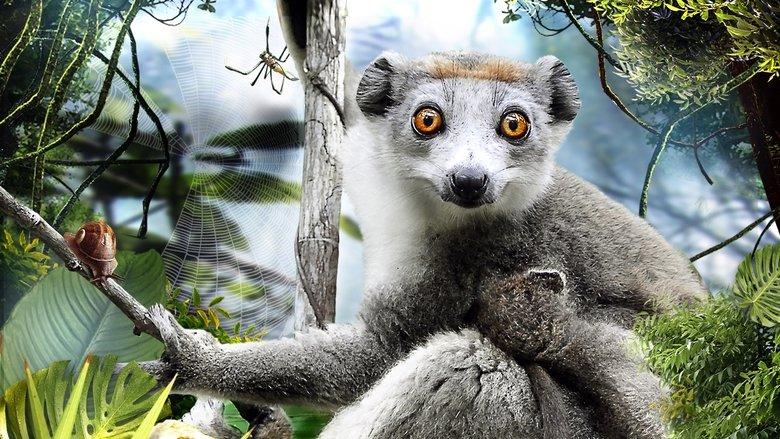 Madagascar 3D image