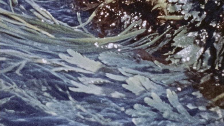 Waves image