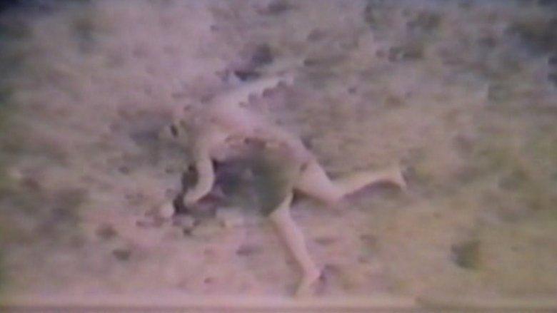 The Diane Linkletter Story image