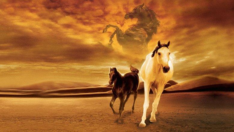 Young Black Stallion image