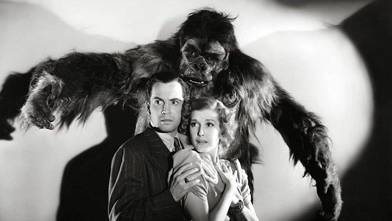 The Gorilla image
