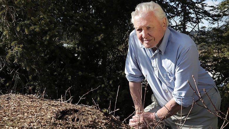 Attenborough and the Empire of the Ants image