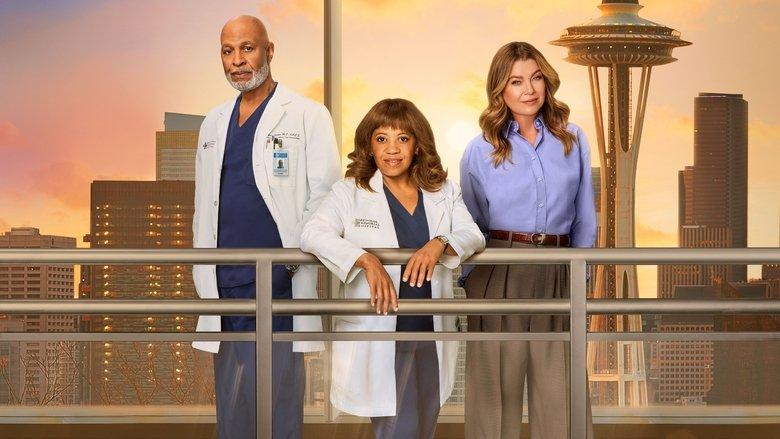 Grey's Anatomy image
