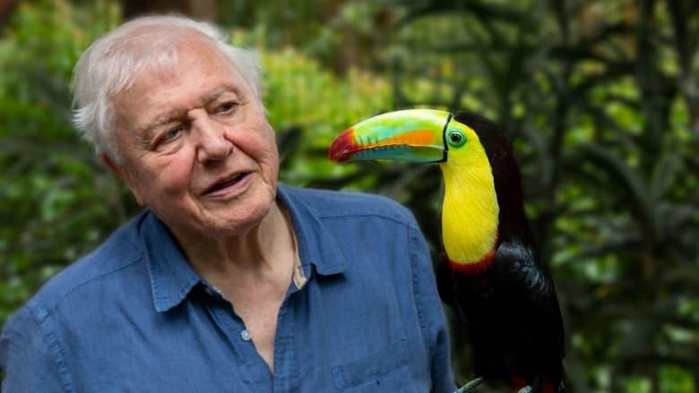 Attenborough's Life in Colour image