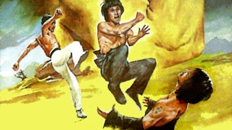 Bruce and Shaolin Kung Fu image