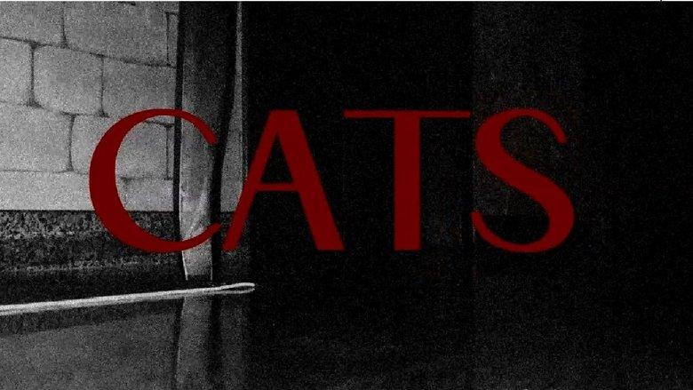 CATS image