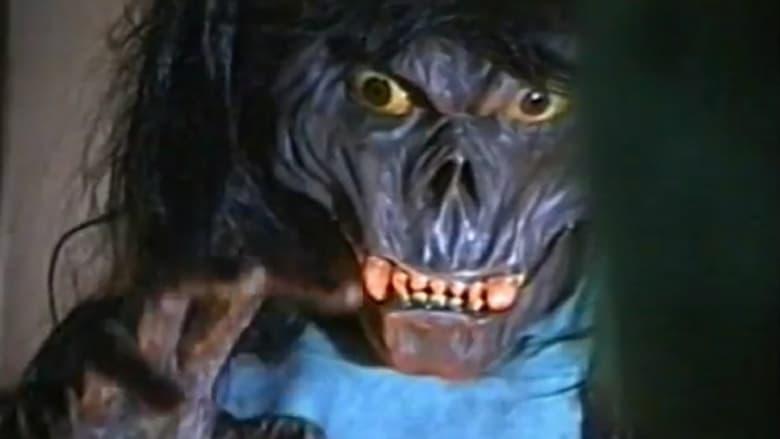 Terror House image