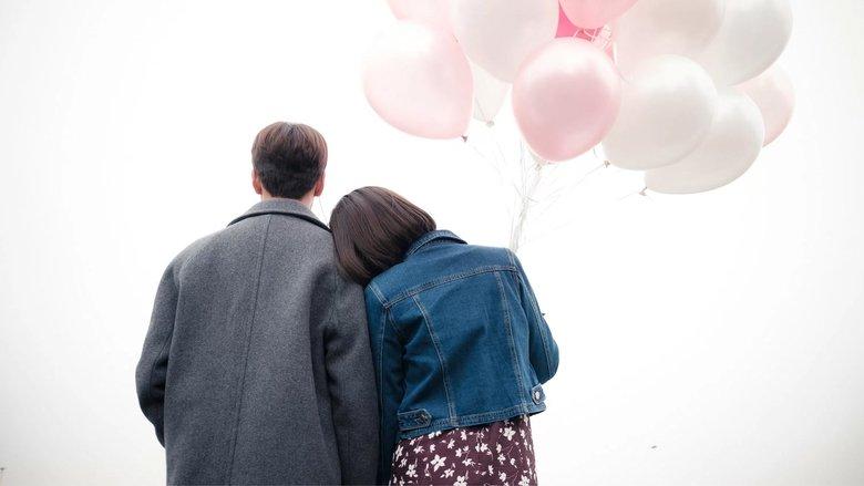 The Liar and His Lover image