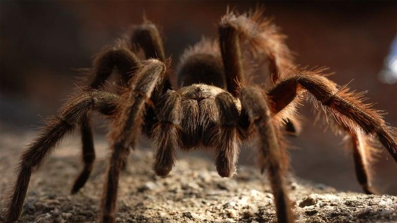 72 Dangerous Animals: Australia image