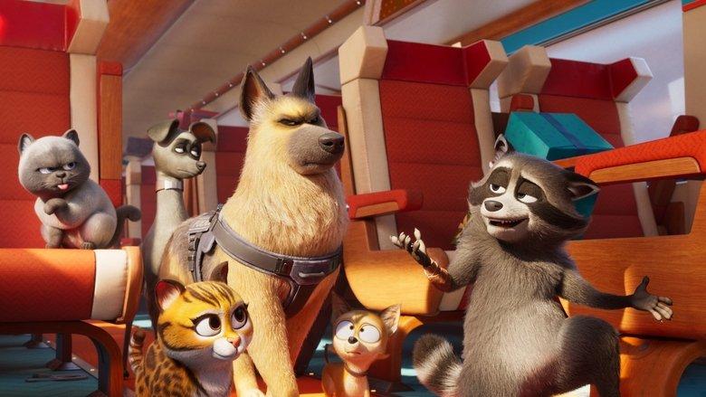 Pets on a Train image