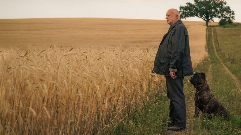 Unterleuten: The Torn Village image