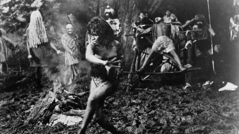 Curse of the Voodoo image