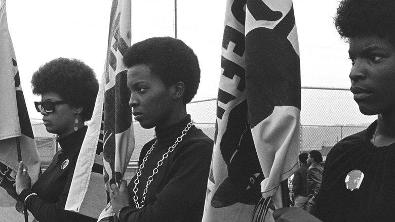 The Black Panthers: Vanguard of the Revolution image