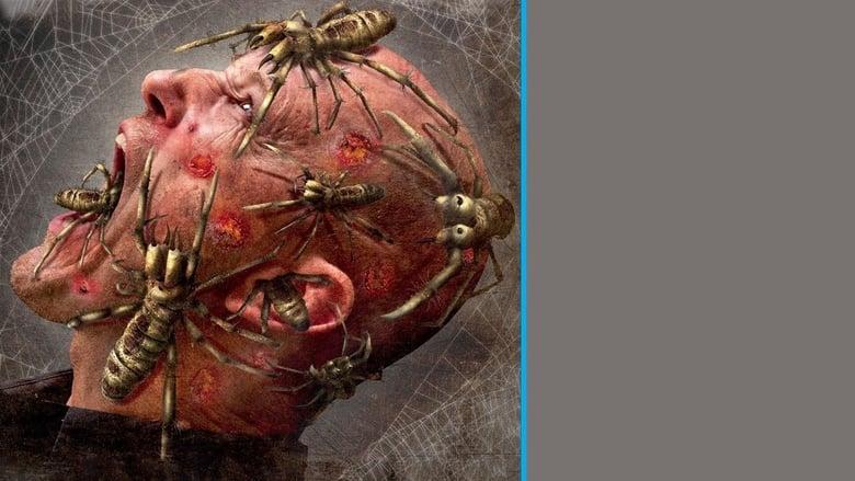 Camel Spiders image