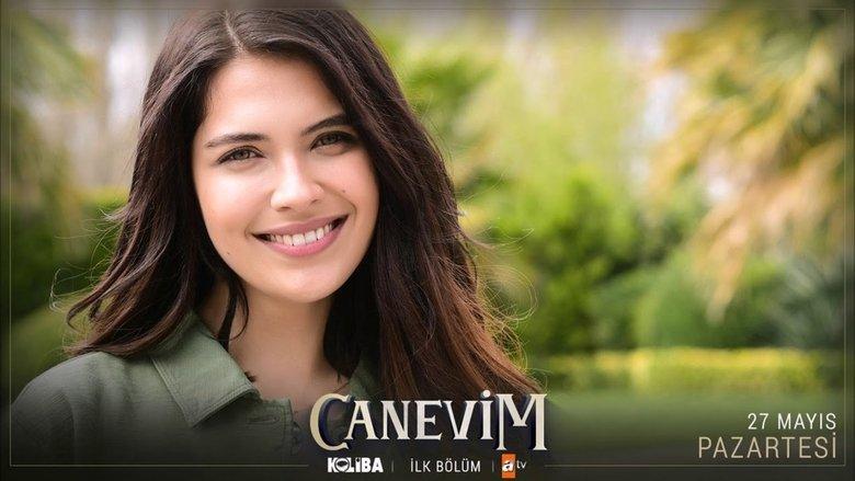 Canevim image
