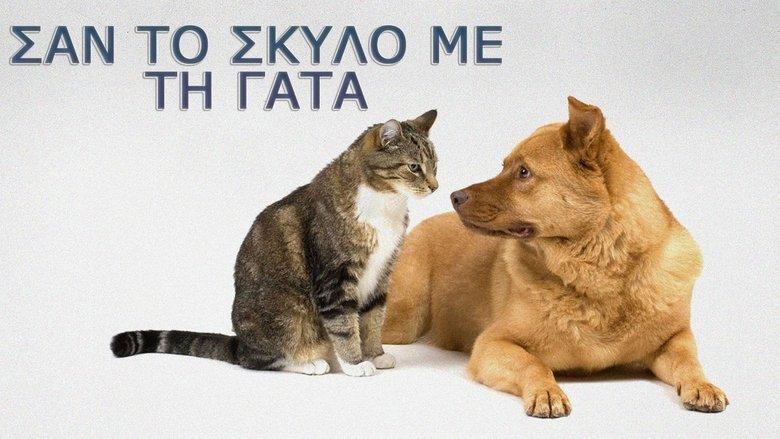 Σαν τον σκύλο με τη γάτα image