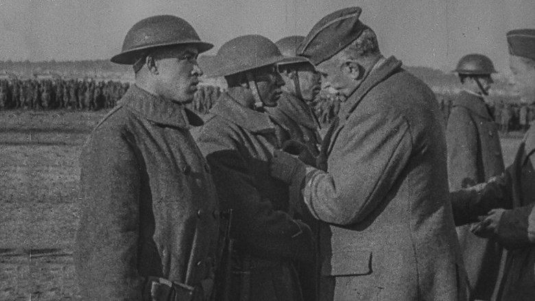 The Negro Soldier image