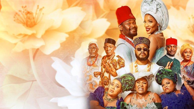 The Bride Price image