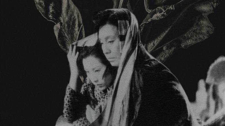 The Story of the Last Chrysanthemum image