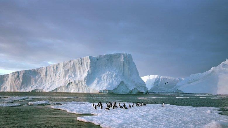 Antarctica: On the Edge image