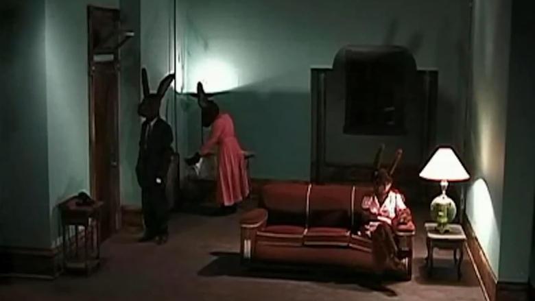 Rabbits image
