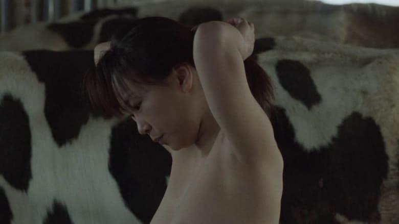 A Lonely Cow Weeps at Dawn image