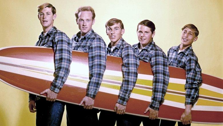 The Beach Boys - Live at Knebworth image