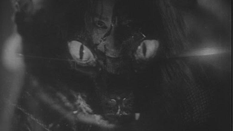 Ghost Cat of Nabeshima image