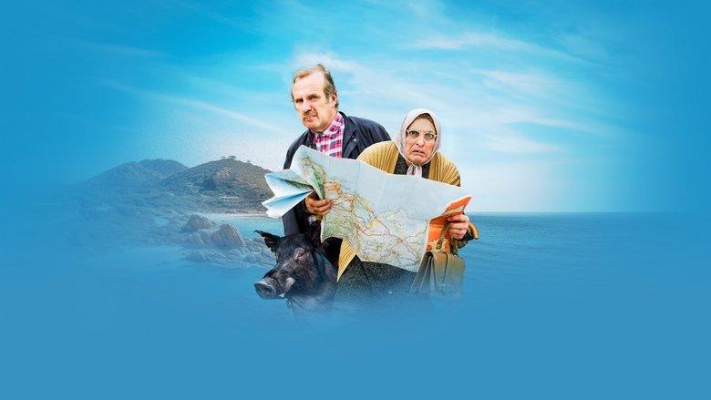 The Bodin’s Investigate in Corsica image
