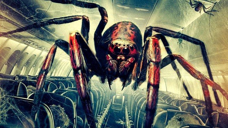 Spiders on a Plane image