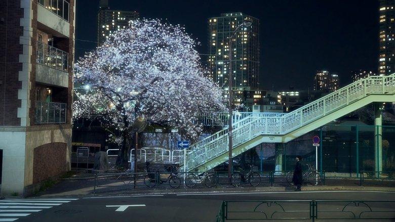 April, Come She Will image
