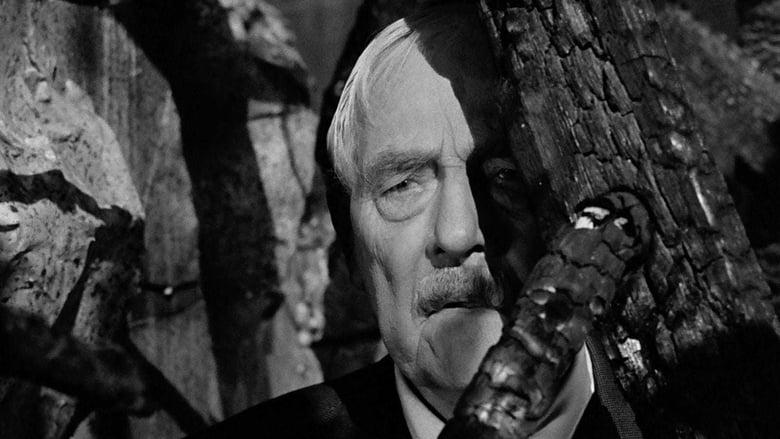 Wild Strawberries image