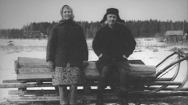 Portrait image