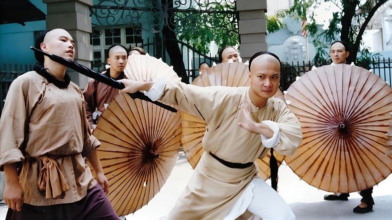 Martial Arts Master Wong Fei Hung image