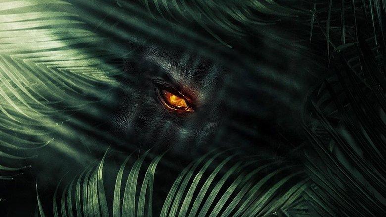 The Jungle image