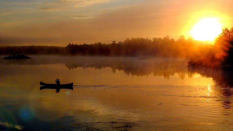 Ray Mears' Northern Wilderness image