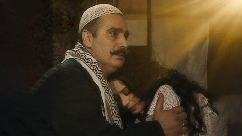 Nights of Al Saliheya image