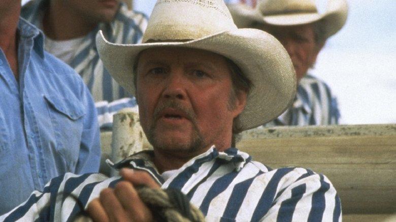 Convict Cowboy image