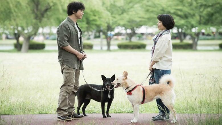 Dogs Without Names image